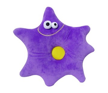 ������˯������