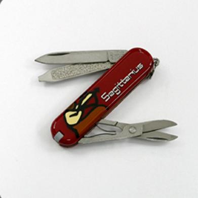 Z0.6223.SAG �䷶, ���R��