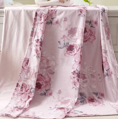 �A�{˹ ���Π�����̺CHNS13-045