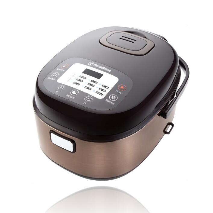 ����Westinghouse-��������WRC-0401