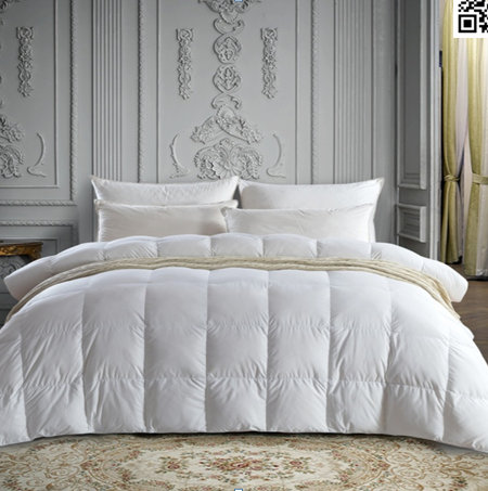 �S���n-��q��XF-B1810