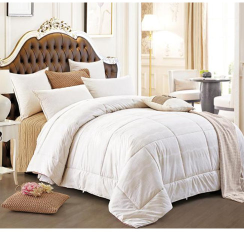 ��������ë��