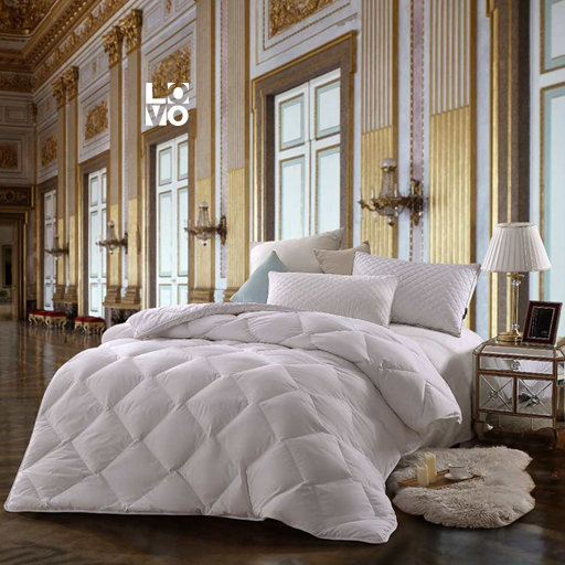 ���F��q�� VQD2004-1