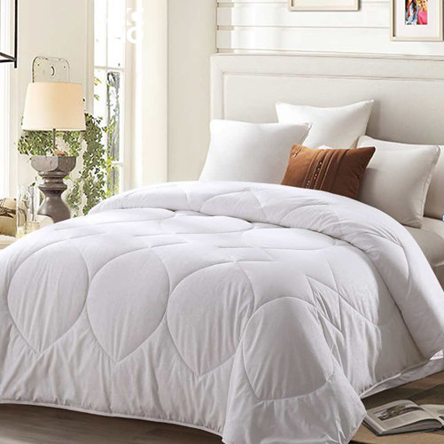 ��(j��ng)���Q�z�� VQS2006-1