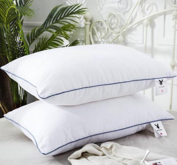 ��������-���Č���HSXZ02