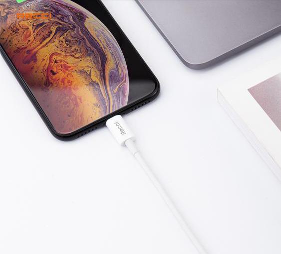 PD��䔵(sh��)��(j��)��RTL-PD01A